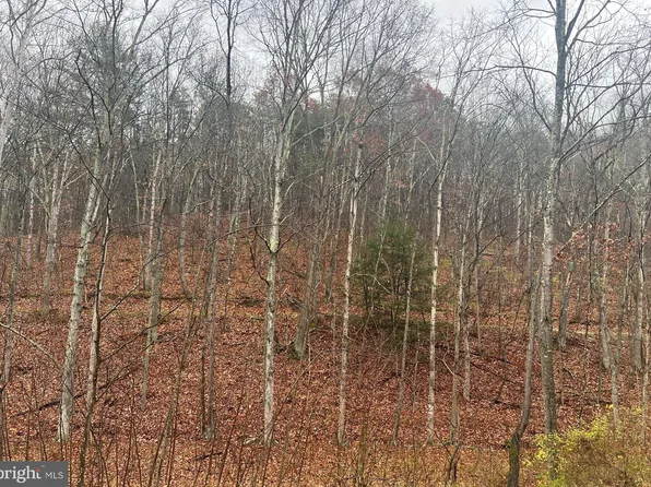 Cacapon Rd, Great Cacapon, WV 25422