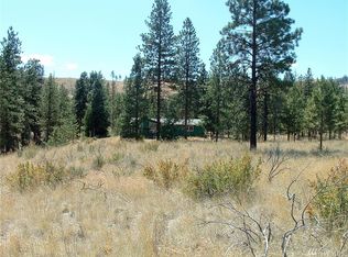 49 Black Bear Rd, Brewster, WA 98812