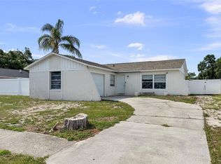 1009 Sagamore Dr, Seffner, FL 33584