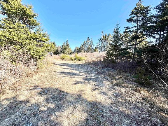 4th image of 46 Shag Harbour Station Rd