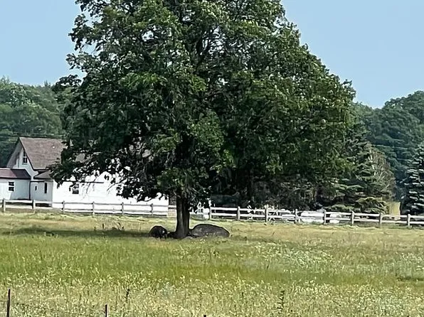 23436 270th St, Sebeka, MN 56477