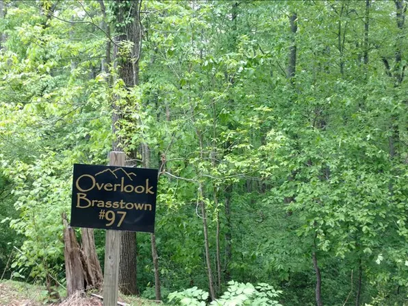 LOT 97 Brasstown Vw, Brasstown, NC 28902