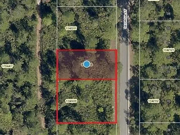 Georgia St, Paisley, FL 32767