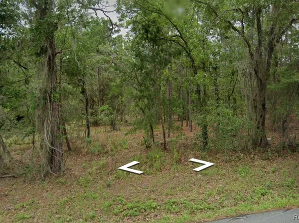 1652 E McKinley St, Hernando, FL 34442