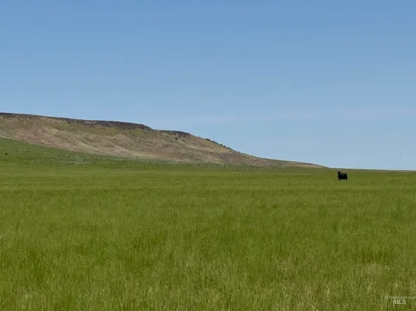 S Highway 81, Declo, ID 83323