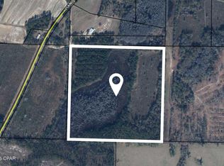 Xx Piano Rd, Graceville, FL 32440