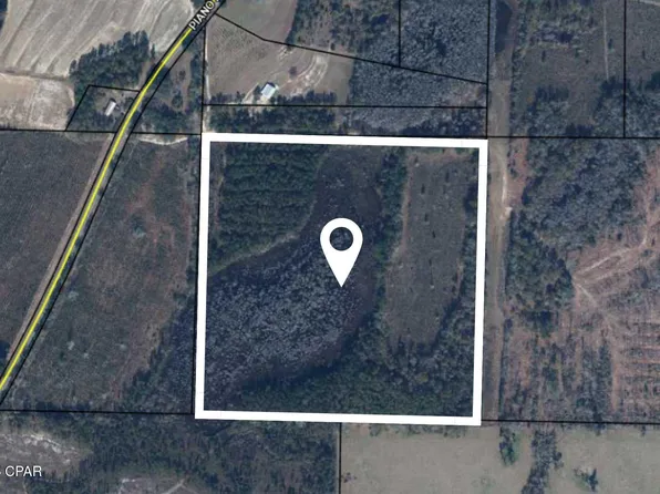 Xx Piano Rd, Graceville, FL 32440