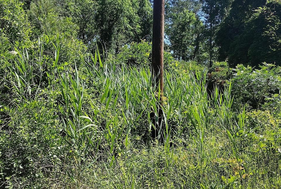 2nd image of 4064 Back Shelltown Rd