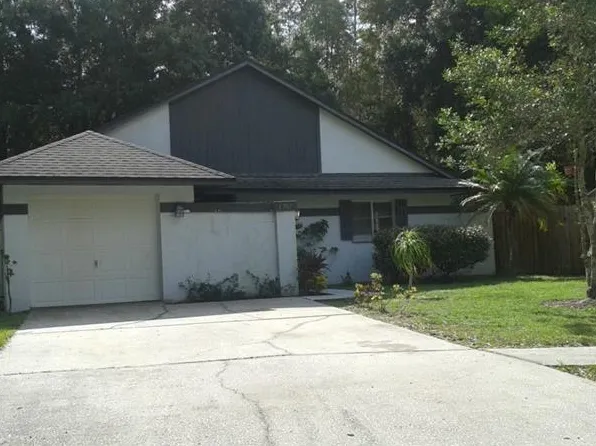 11702 Maple Tree Way, Tampa, FL 33625