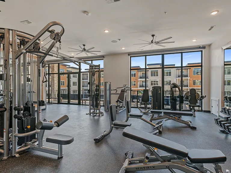 Gym 3