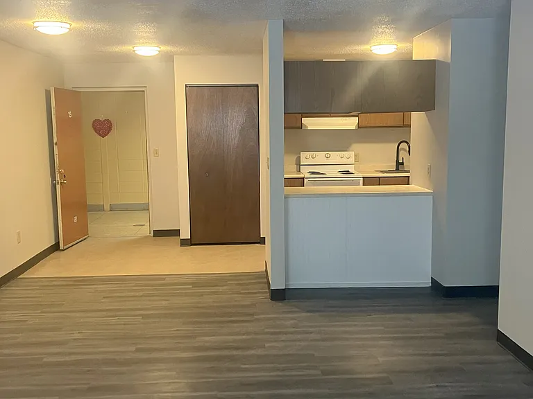 Living room (facing kitchen)