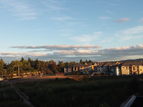 View from the patio.