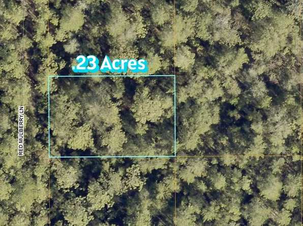 9 Red Mulberry Ln, Defuniak Springs, FL 32433