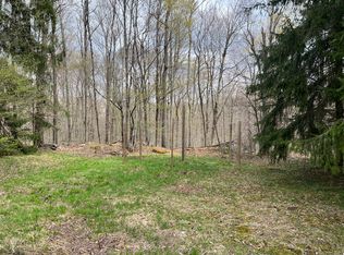 Bordell Rd, Smethport, PA 16749