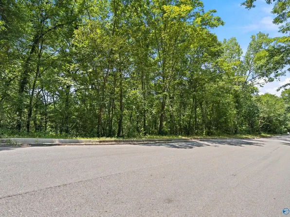 15010 Greentree Trl SE, Huntsville, AL 35803