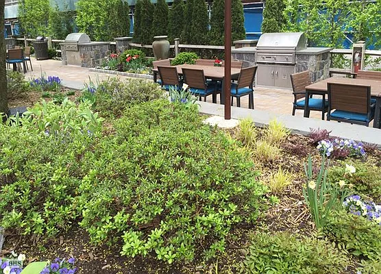 Rented by Brown Harris Stevens | media 20