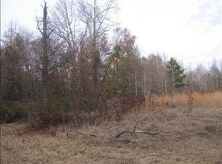 931 Lower Lee School Rd, Mayesville, SC 29104