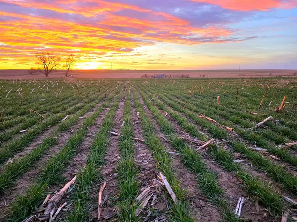 300th Ave, Nekoma, KS 67559