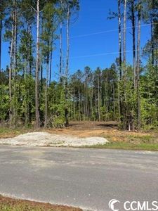TBD W G Rd. #3.64 +/- Acres, Loris, SC, 29569