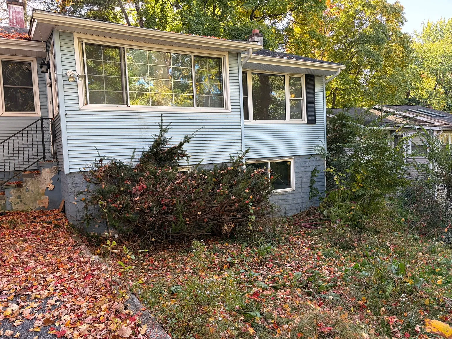 3 bed, $2,300 — Photo 1
