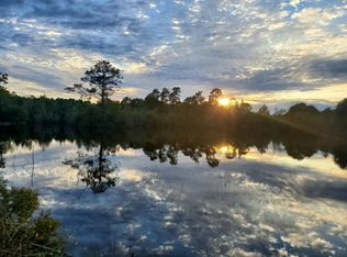 12320 Pelt Rd, Kountze, TX 77625