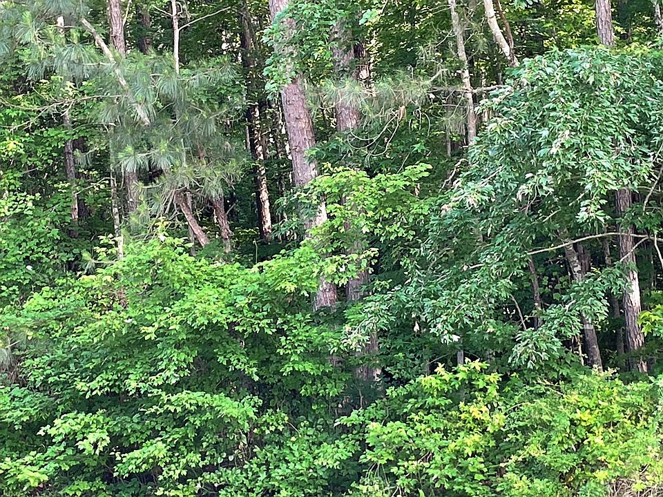 2 Thelma Rd, Roanoke Rapids, NC 27870 Zillow