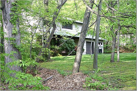 View through the garden