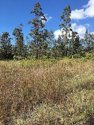 2nd image of Meli Pl Lot 76-G