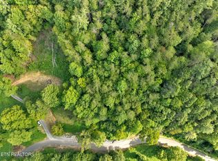 1150 Spurgeon Hollow Rd, Sevierville, TN 37876