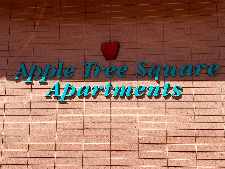 390 Cedar St #19 — Photo 12