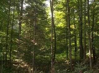 34b Kyle Court, Mercer, WI 54547