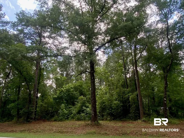 0 Pine Grove Road Ext, Bay Minette, AL 36507