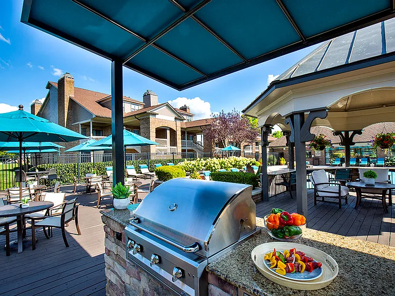 Outdoor grill and chef's kitchen
