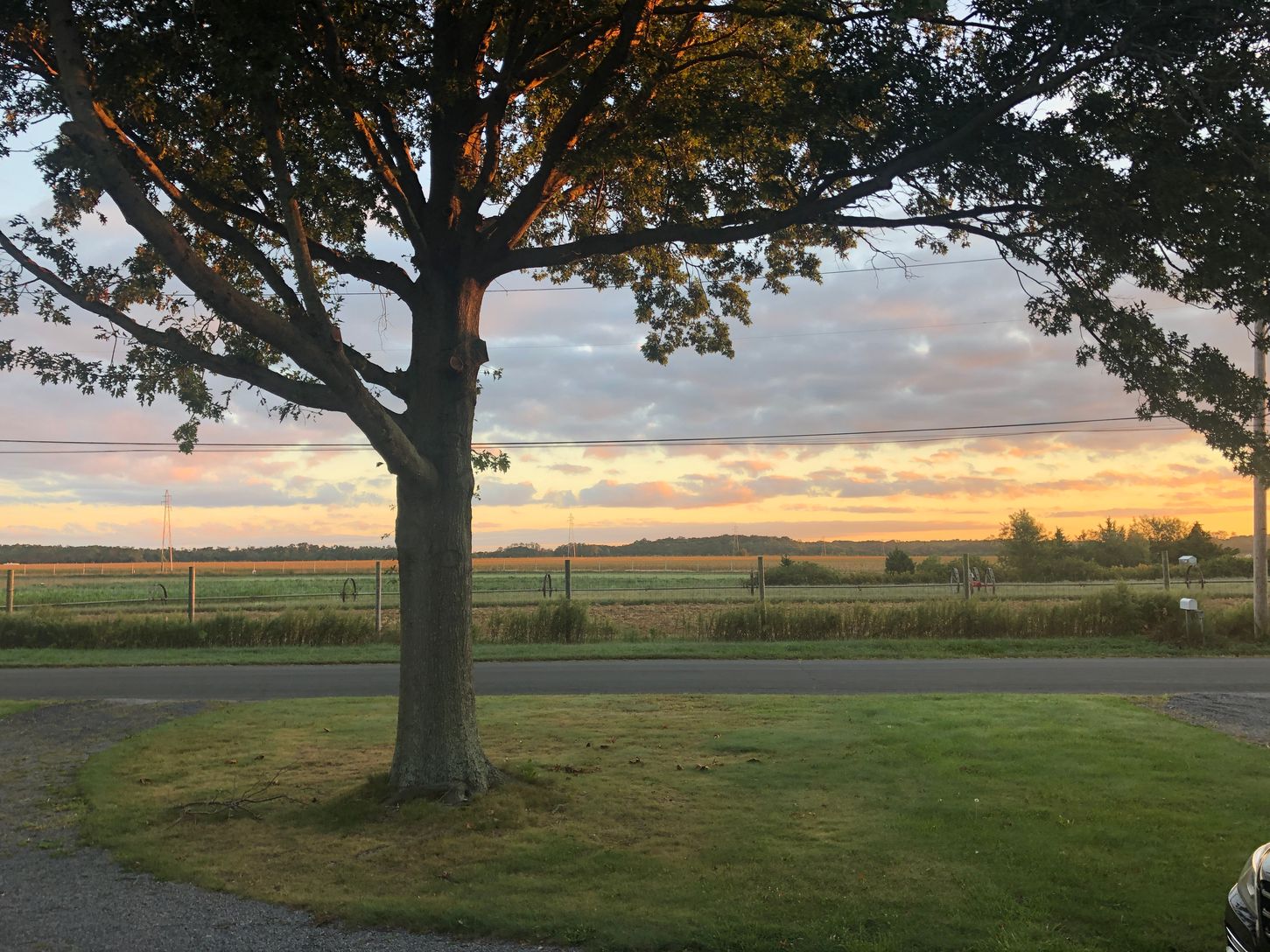  Sunset from the Front Porch framed by 3 Old Growth Maple Tress