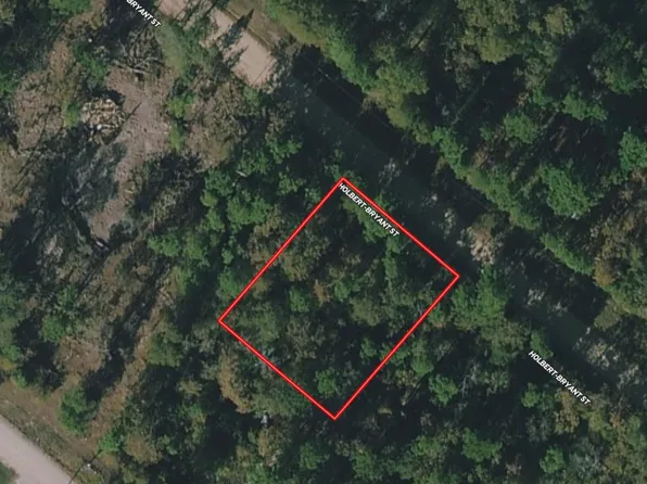 172 Halbert Bryant St, Livingston, TX 77351