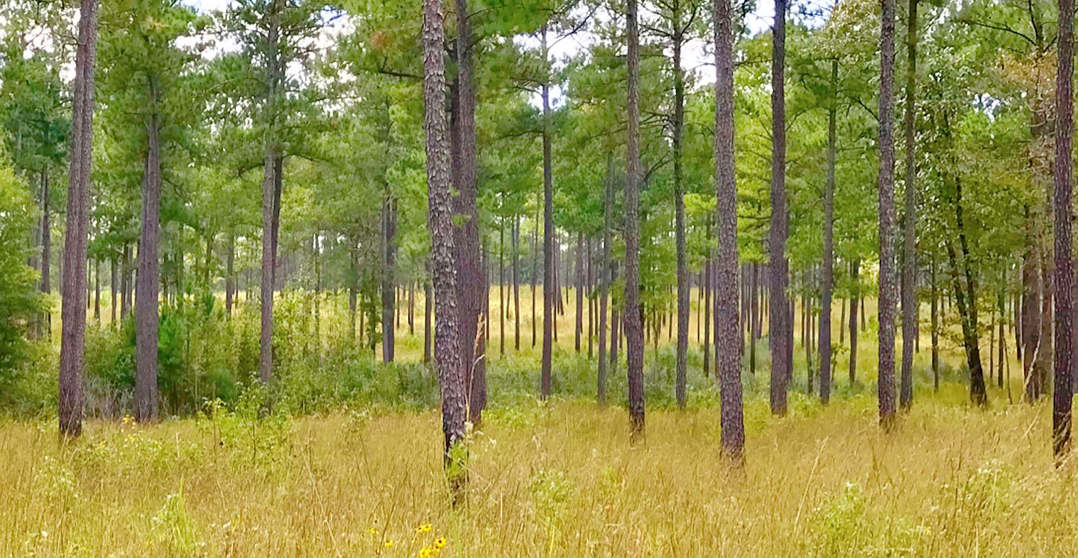 Call For Showing, Hurtsboro, AL 36860 Zillow