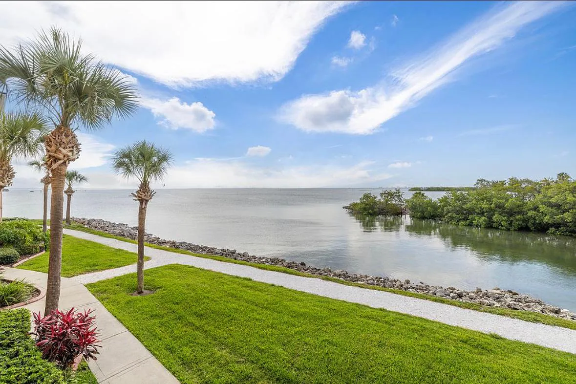 5000 Culbreath Key Way — Photo 3