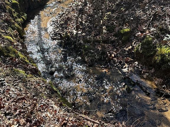 2nd image of 1207 Bullen Gap Rd