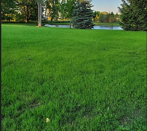 Pond with Aerator with fish