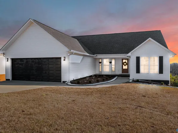 2071 Leota Rd, Southside, AL 35907