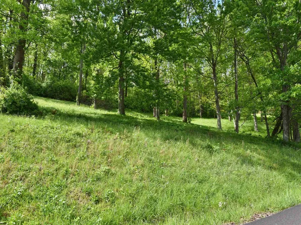 17 Diamond Cv, Bridgeport, WV 26330