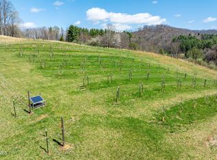 9676 Highway 421 S, Trade, TN 37691