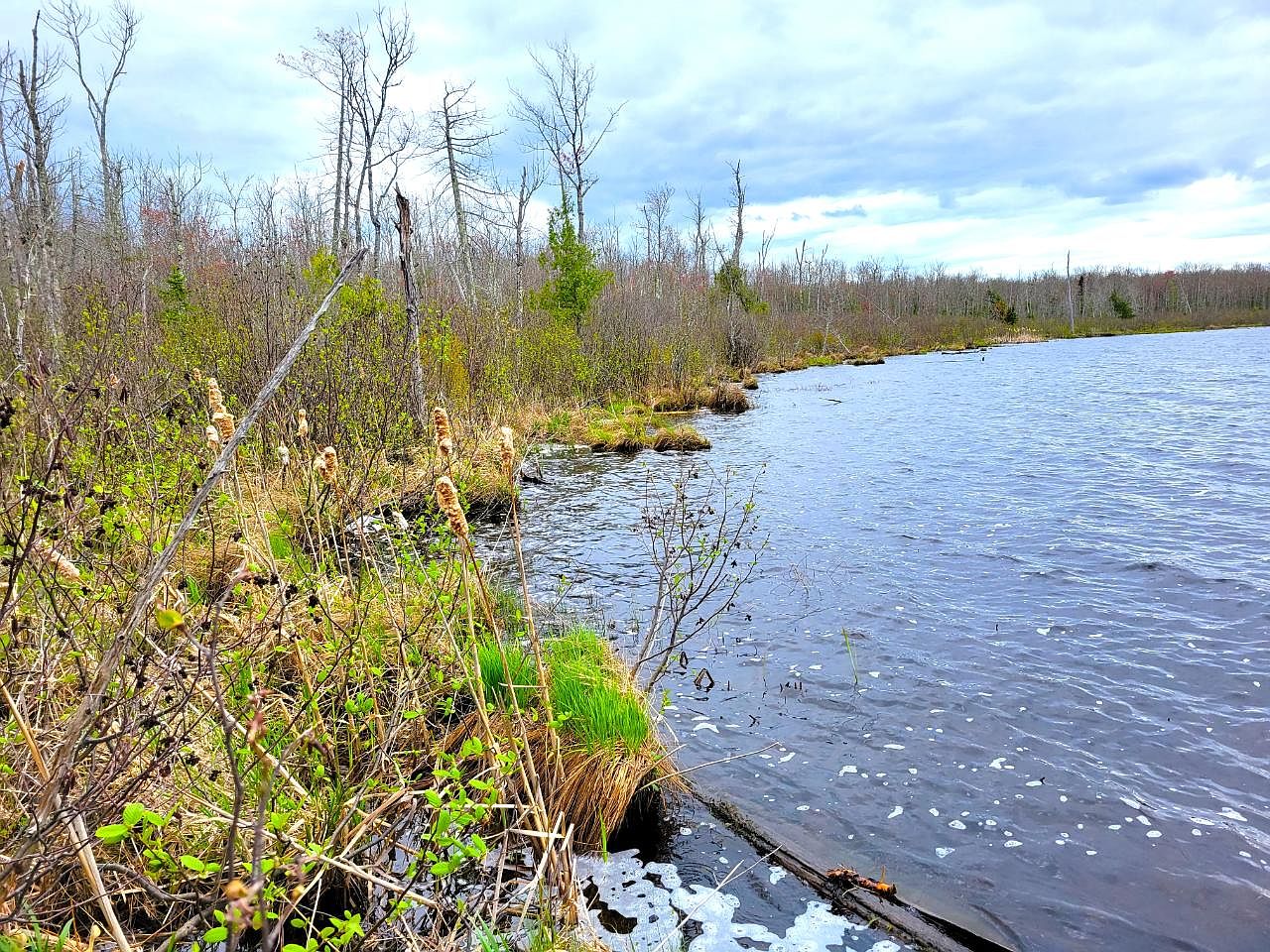 Langford Lake Rd E 10, Watersmeet, MI 49969 MLS 196648 Zillow