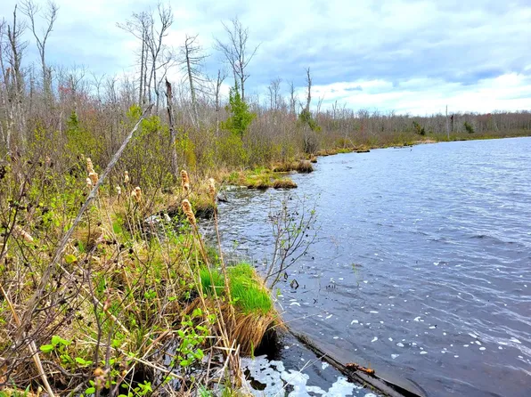 Langford Lake Rd E #10, Watersmeet, MI 49969