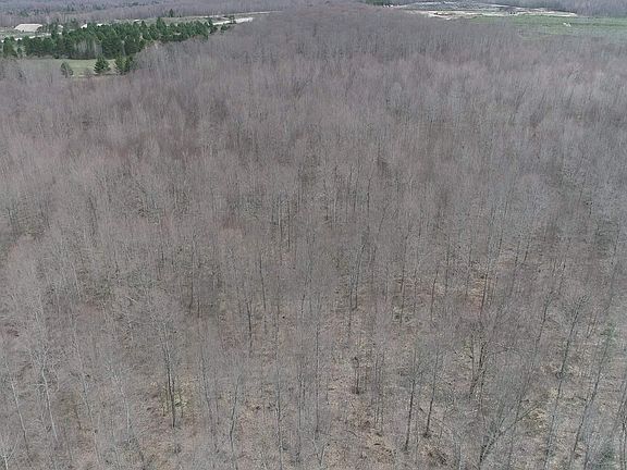 5th image of PARCEL County Road 433 Rd #B
