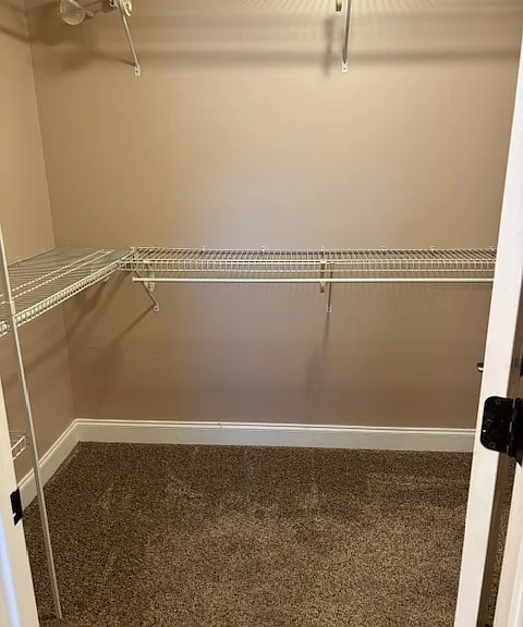 primary bedroom walk in closet