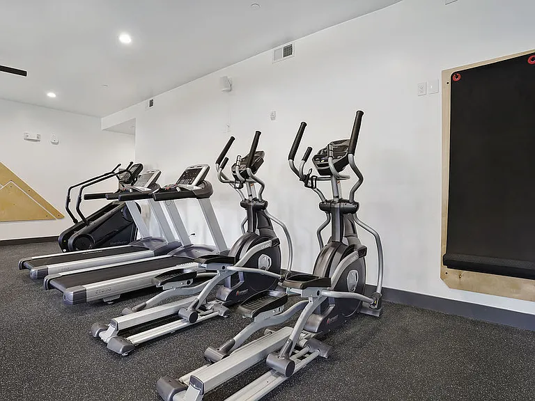 Stair climber, Treadmills, Ellipticals