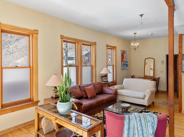 35 Porphyry St, Ophir, CO 81426