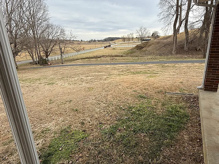 2022 Center Point Rd — Photo 23