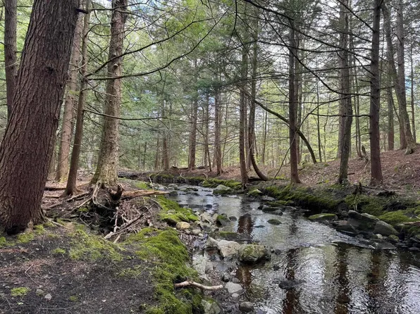 0 Bills Road, Stratton, VT 05360